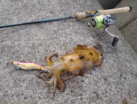 モエモエグリーンに萌え萌え